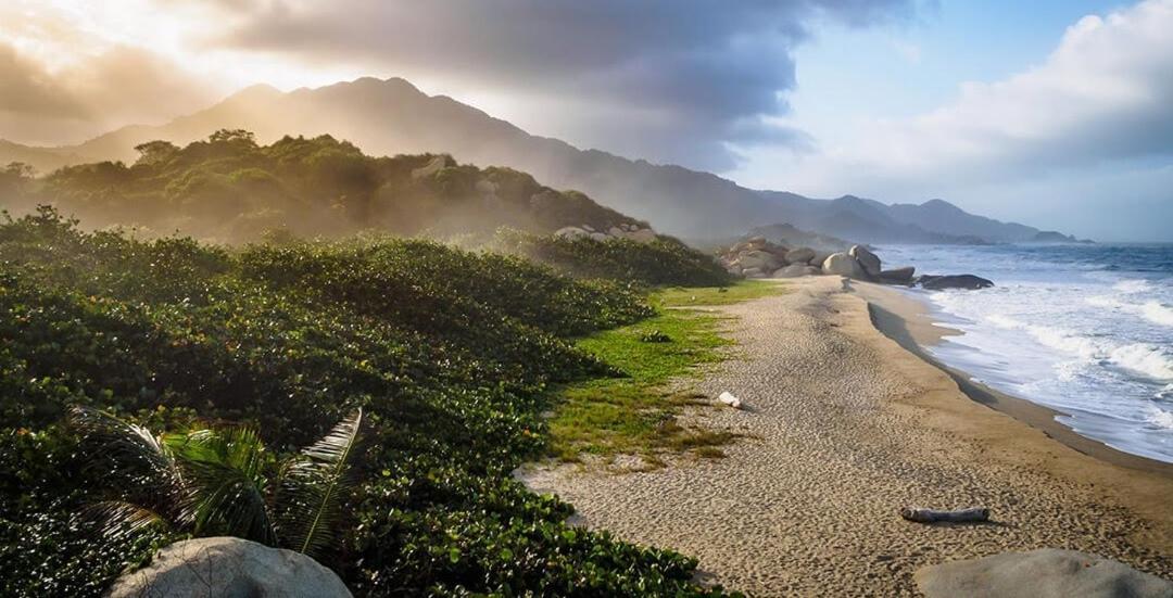 Colibri Parque Tayrona Dentro Del Parque Nacional Tayrona Bed & Breakfast Ел Заино Екстериор снимка