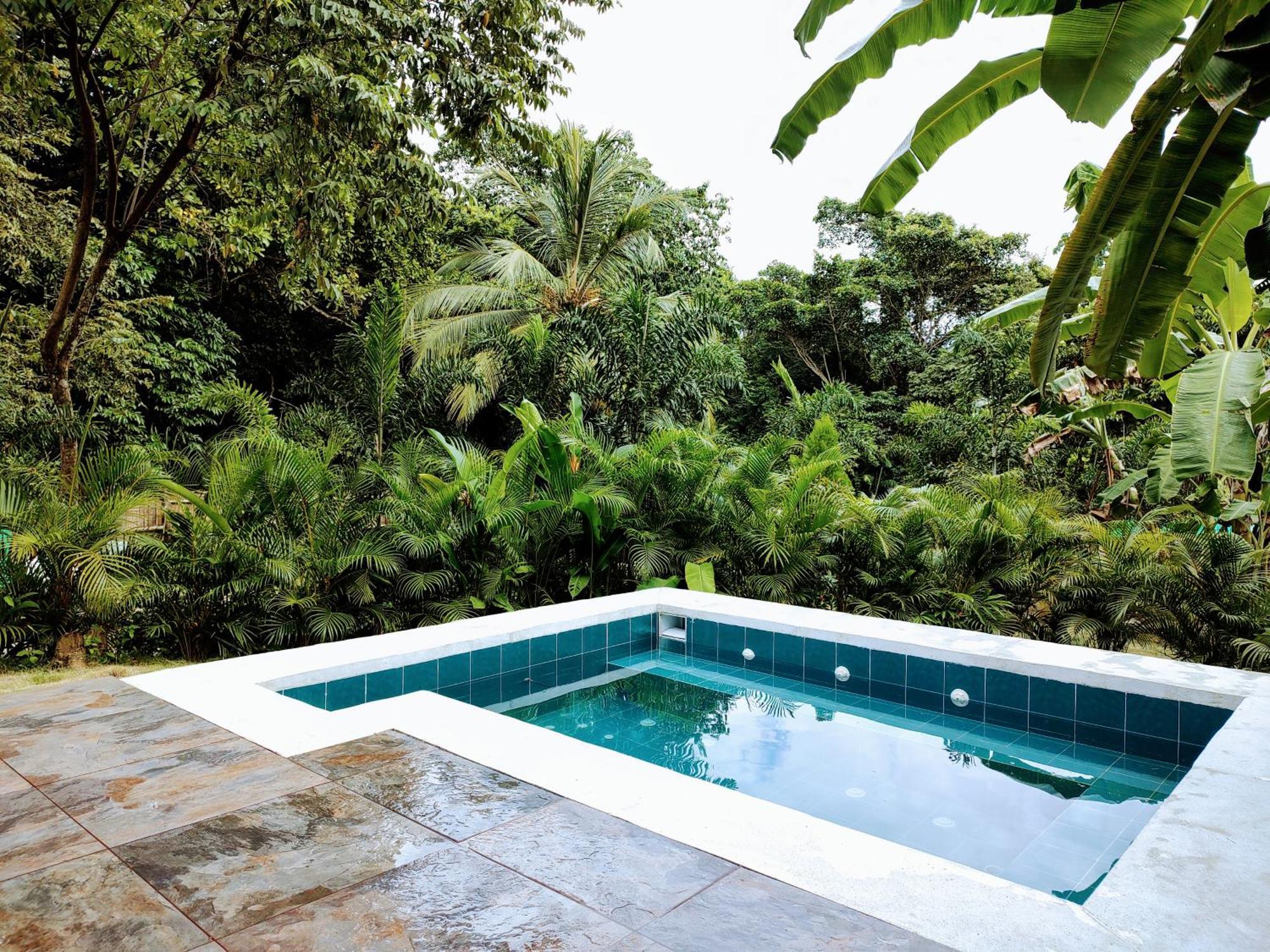 Colibri Parque Tayrona Dentro Del Parque Nacional Tayrona Bed & Breakfast Ел Заино Екстериор снимка
