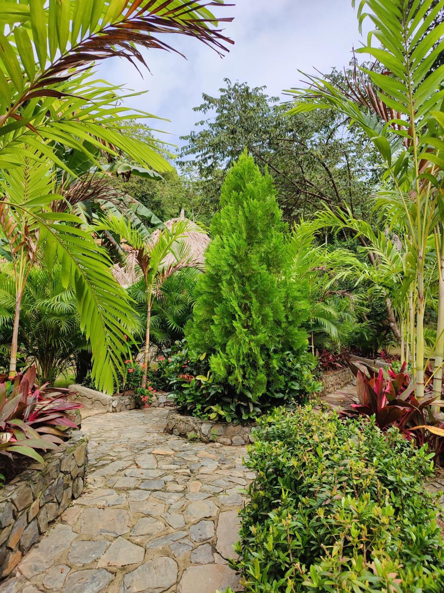 Colibri Parque Tayrona Dentro Del Parque Nacional Tayrona Bed & Breakfast Ел Заино Екстериор снимка