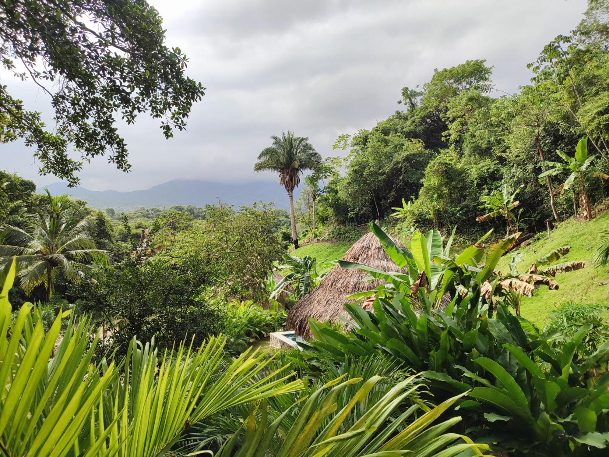 Colibri Parque Tayrona Dentro Del Parque Nacional Tayrona Bed & Breakfast Ел Заино Екстериор снимка