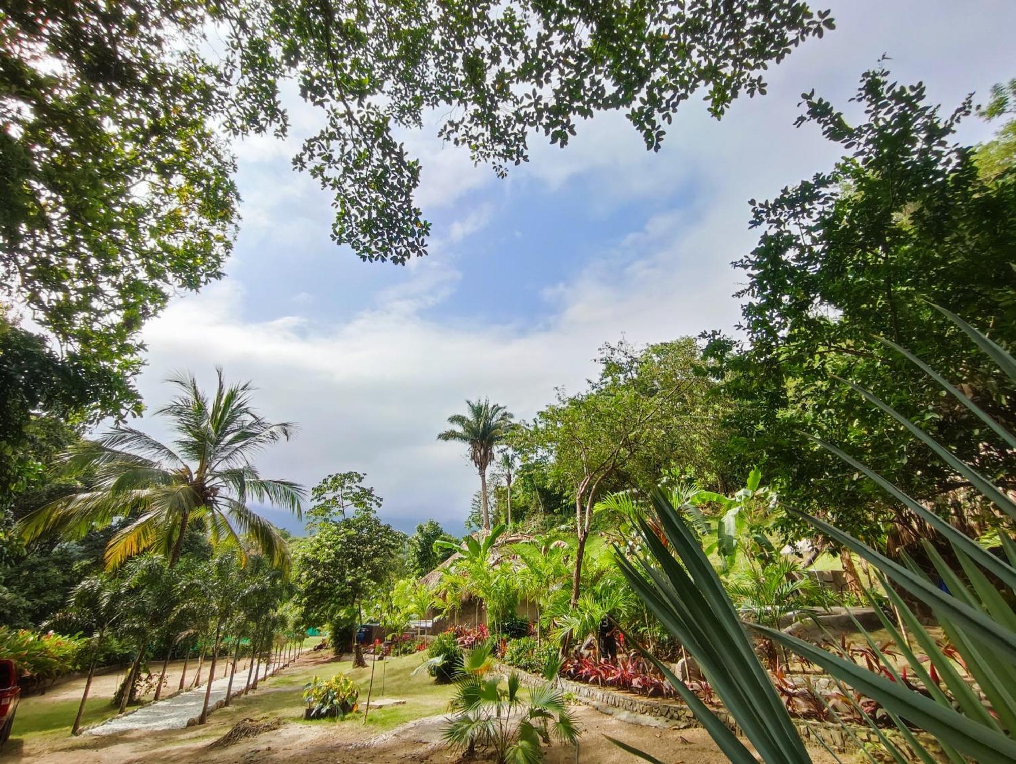 Colibri Parque Tayrona Dentro Del Parque Nacional Tayrona Bed & Breakfast Ел Заино Екстериор снимка