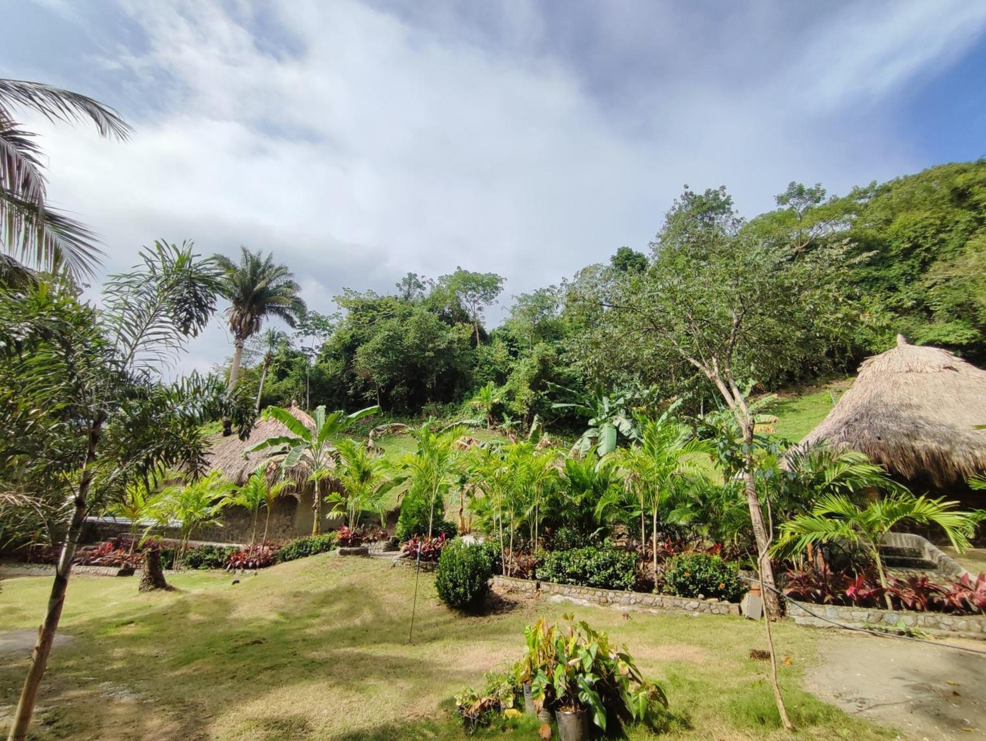 Colibri Parque Tayrona Dentro Del Parque Nacional Tayrona Bed & Breakfast Ел Заино Екстериор снимка
