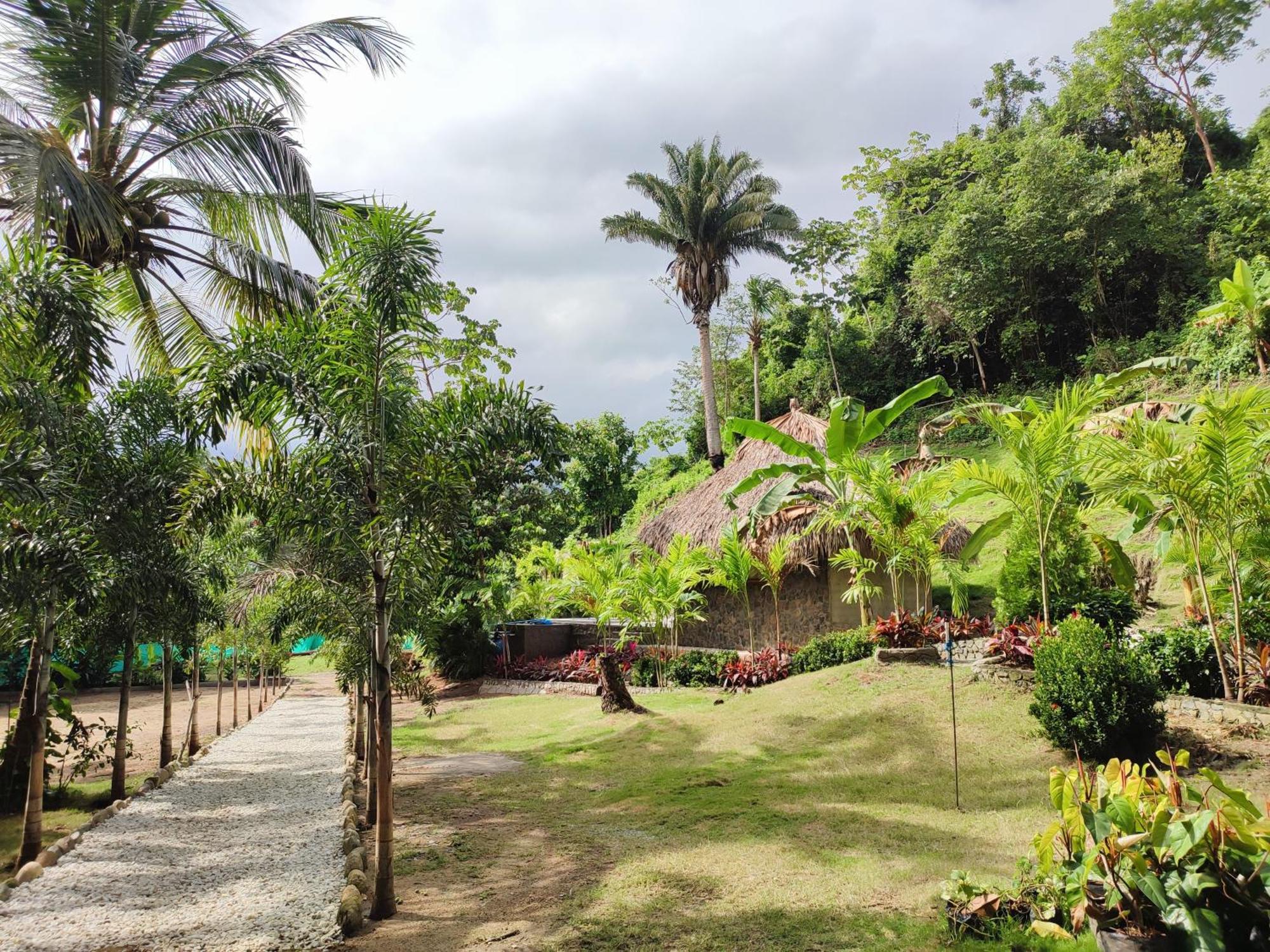 Colibri Parque Tayrona Dentro Del Parque Nacional Tayrona Bed & Breakfast Ел Заино Екстериор снимка