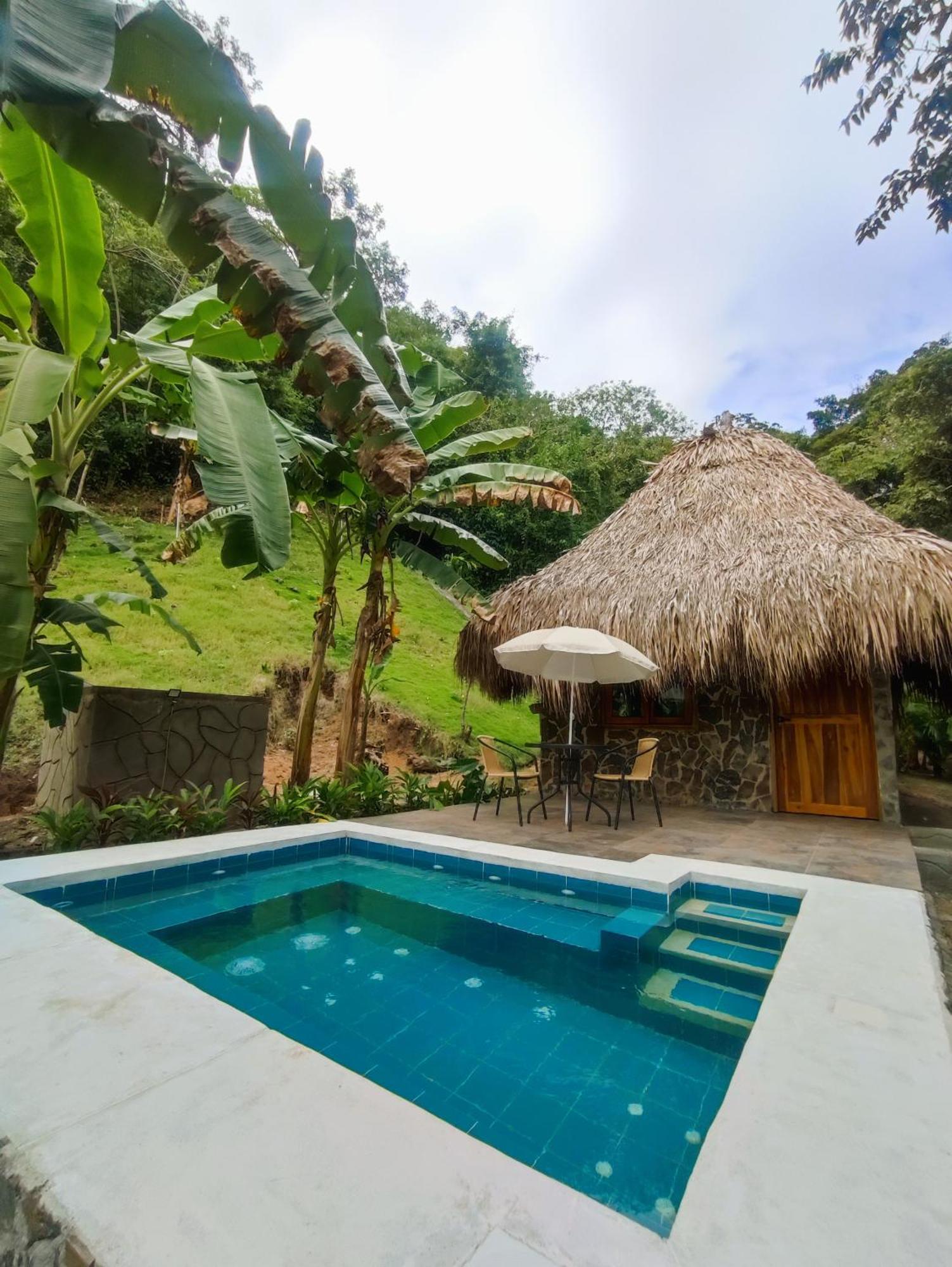Colibri Parque Tayrona Dentro Del Parque Nacional Tayrona Bed & Breakfast Ел Заино Екстериор снимка