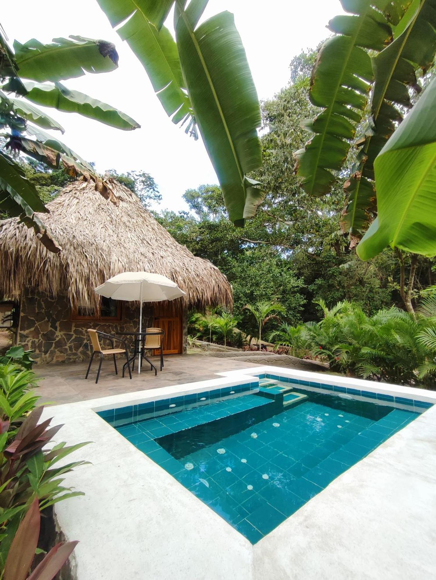 Colibri Parque Tayrona Dentro Del Parque Nacional Tayrona Bed & Breakfast Ел Заино Екстериор снимка