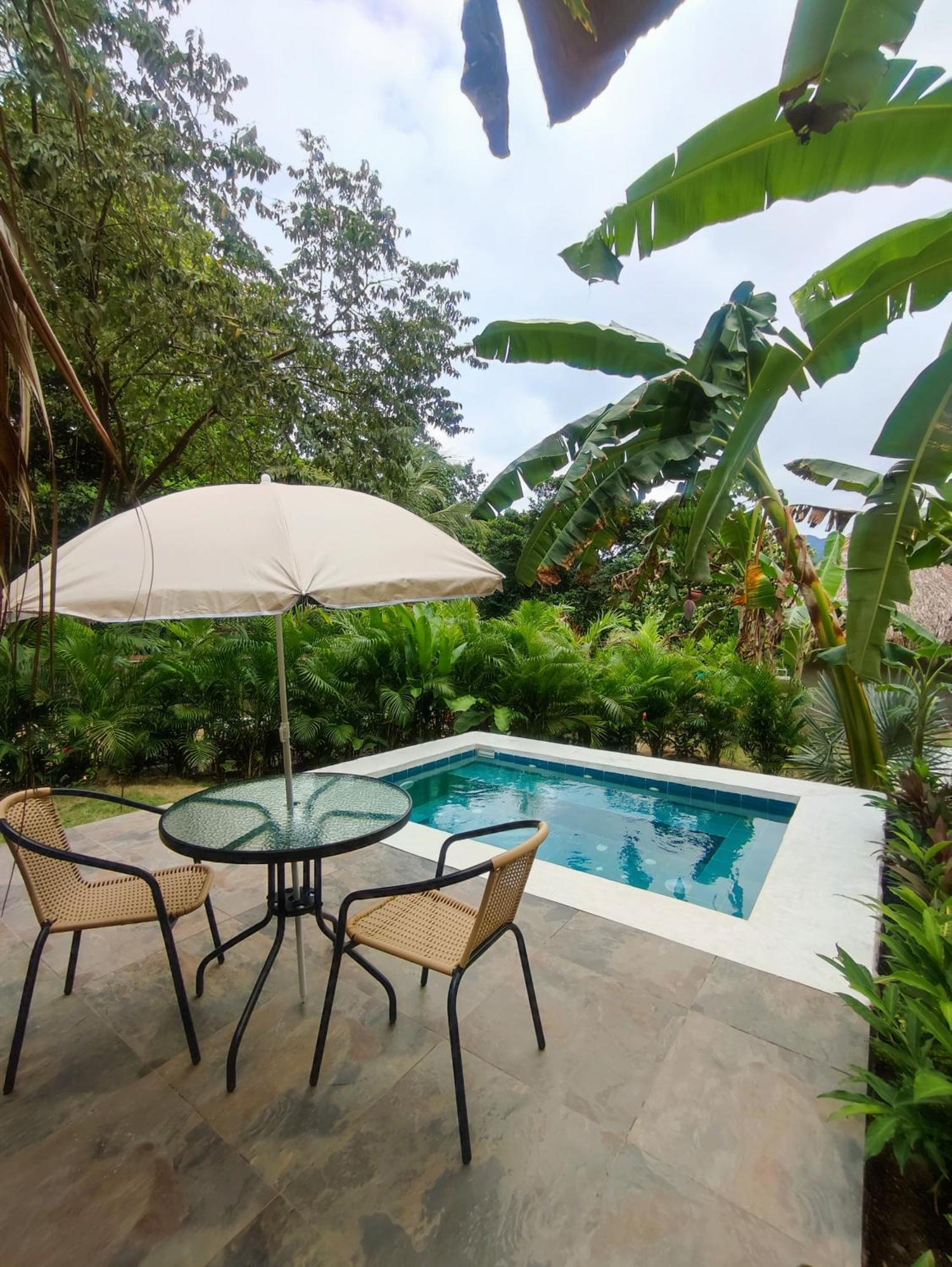 Colibri Parque Tayrona Dentro Del Parque Nacional Tayrona Bed & Breakfast Ел Заино Екстериор снимка
