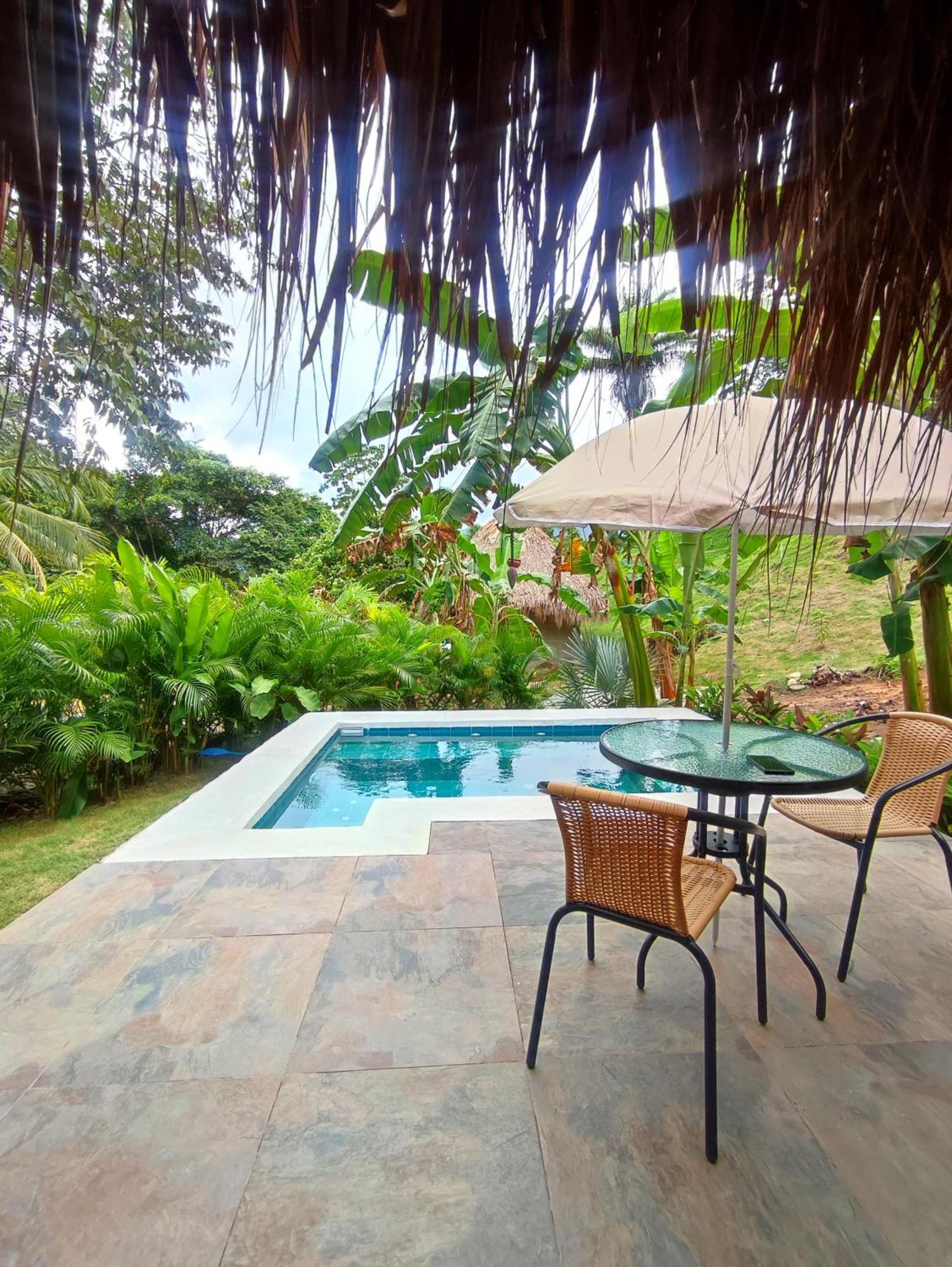 Colibri Parque Tayrona Dentro Del Parque Nacional Tayrona Bed & Breakfast Ел Заино Екстериор снимка