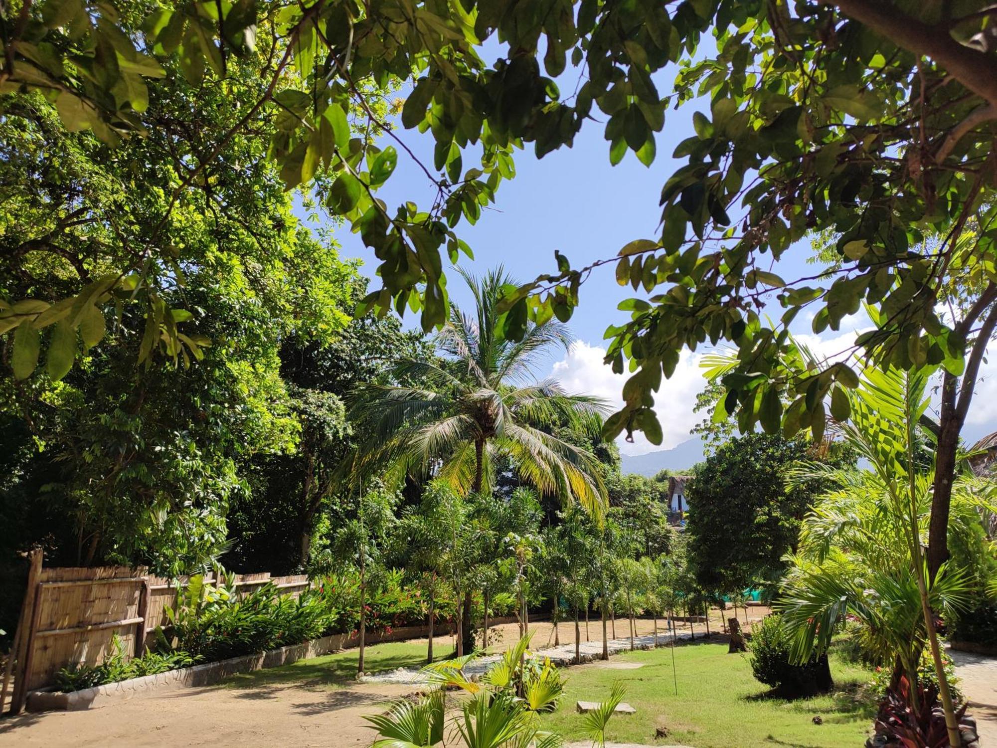 Colibri Parque Tayrona Dentro Del Parque Nacional Tayrona Bed & Breakfast Ел Заино Екстериор снимка