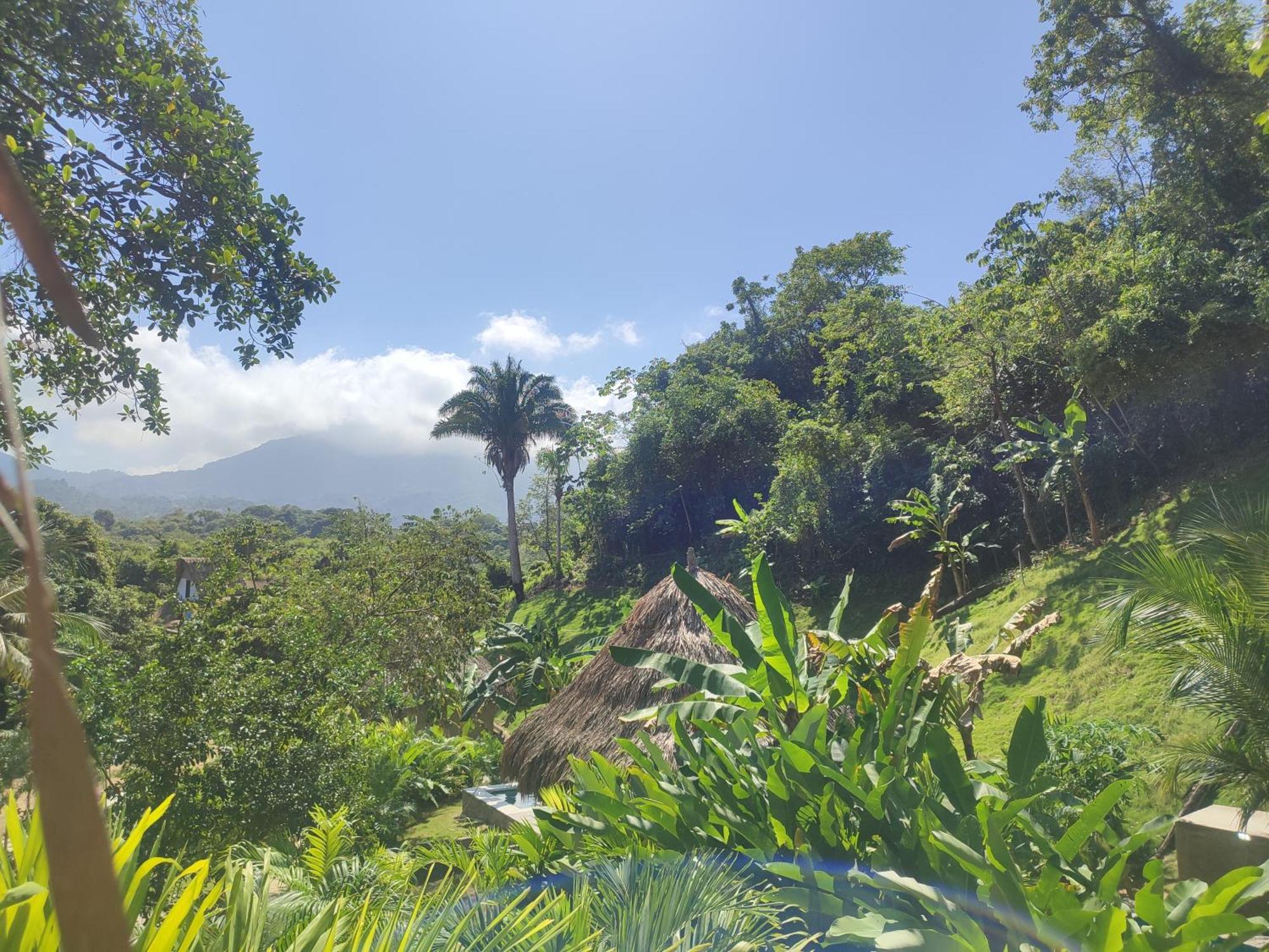 Colibri Parque Tayrona Dentro Del Parque Nacional Tayrona Bed & Breakfast Ел Заино Екстериор снимка