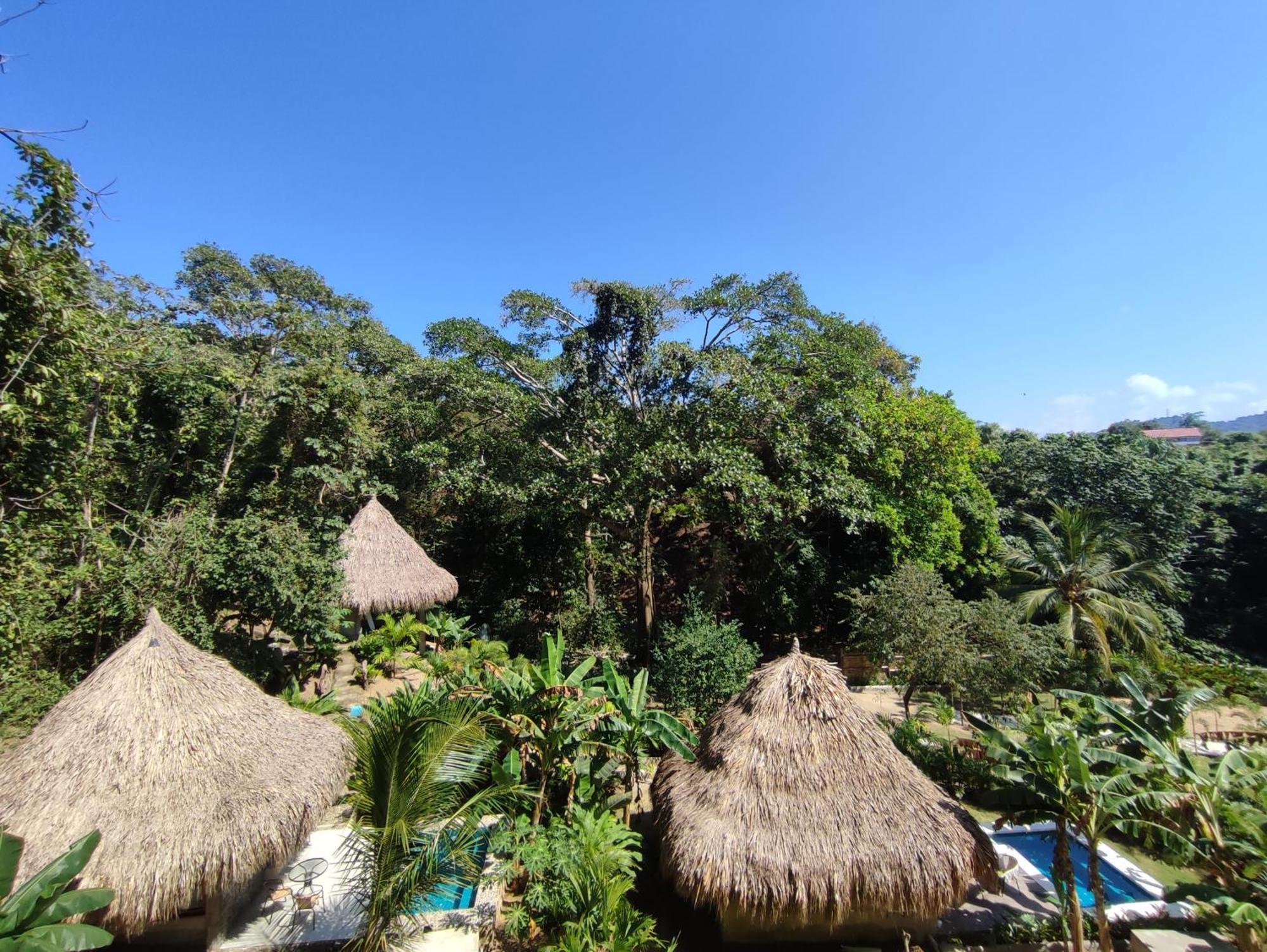 Colibri Parque Tayrona Dentro Del Parque Nacional Tayrona Bed & Breakfast Ел Заино Екстериор снимка